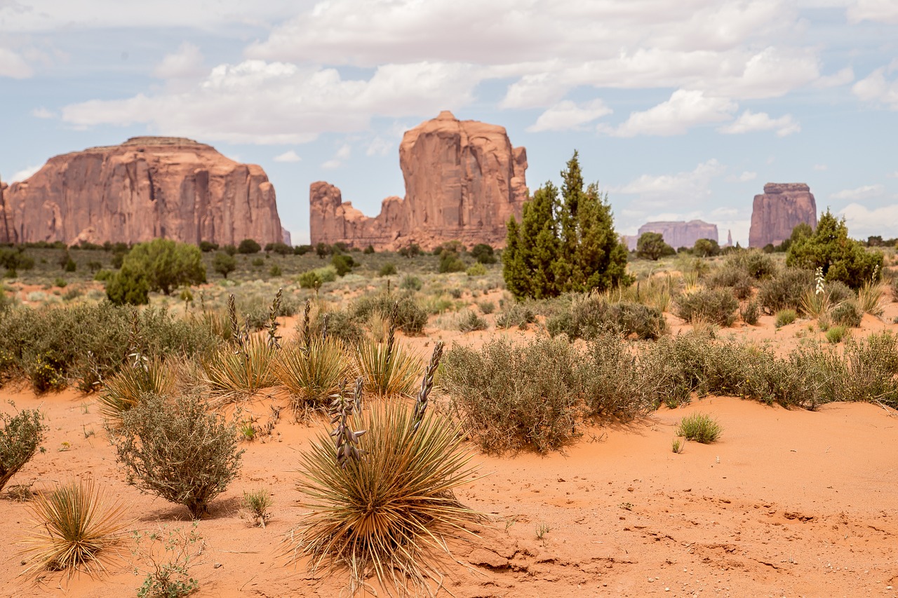 monument valley park, az, usa-4222406.jpg